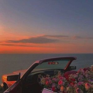 Meet your Posher, Shon